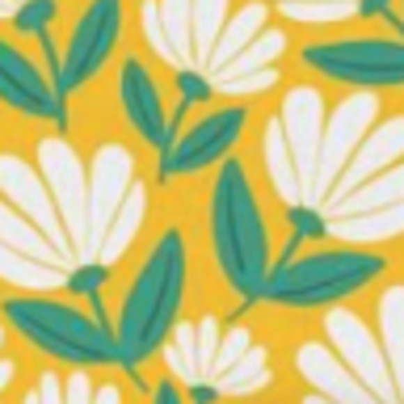 Meet your Posher, Anna - Picture 1 of 1